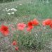 Robert Dunning - Facebook
