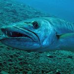 Robert Durden - @durden.robert - Instagram