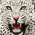 Robert Durkalec - @robertdurkalec - Instagram