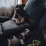 Robert Dutton - @robert.dutton.90 - Instagram