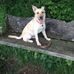 Robert Dutton - Facebook