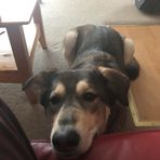 Robert Dynes - Facebook