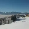 Robert Dziuba - @user84449224866578 - TikTok