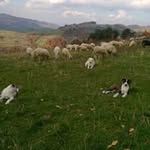Robert Dziuban - @robert.dziuban.75 - Instagram