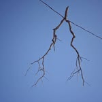 robert eades - @roeades - Instagram