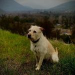 Robert Eagle - @eagler1970 - Instagram