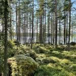 Robert Eberhardt - @robert.eberhardt_ - Instagram