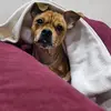 Robertoeboli - @robyeboli1992 - TikTok