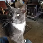 Robert Eckart - @eckart8177 - Instagram