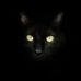Robert Eckel - Facebook