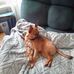 Roberta Eckel - Facebook