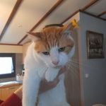 Robert Eckhardt - @eckhardt_robert - Instagram