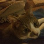 Robert Edelen - @robertedelen - Instagram