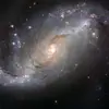 robertoedelmann - @sete7poses - TikTok
