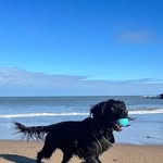 Rob Eden - @roberteden533 - Instagram