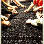 Robert Eden - @eden_1964 - Instagram