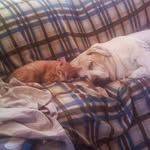 Robert Edgington - @robert.edgington.129 - Instagram