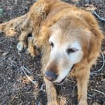 robert edgington - @edgington.robert - Instagram