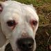 Robert Edwards - Facebook