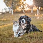 Robert Egner - Facebook