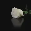 Robert Eilers - @robert.eilers4 - TikTok