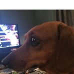 Robert Elder - Facebook