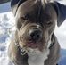 Robert Eldridge - Facebook