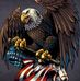Robert elk company - Facebook
