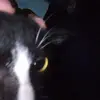 robert_ell - @robert_ell - TikTok