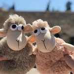 Robert & Elle - @robert.elle.couple - Instagram