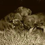 Robert Ellingham - @robertellingham - Instagram