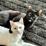 Robert Elsea - @rob.portland - Instagram