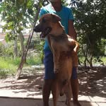 Roberte Mello - @robertemello - Instagram