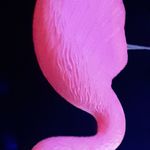 Robert Emminger - @rmessenger7175 - Instagram