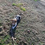 Robert Endicott - @outlaw_4life_4eva - Instagram