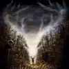 robertendicott702 - @robertendicott702 - TikTok