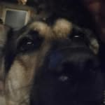 Robert Endy - @blueburt527 - Instagram