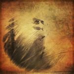 Robert Englebright - @d_ecequcake - Instagram
