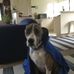 Roberta Englefield - Facebook