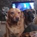 Rob Enos - Facebook