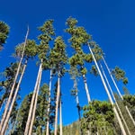 Robert Erbes - @robert_erbes_ - Instagram
