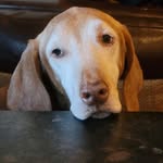 Robert Eberhardt - @eberhardtrobert - Instagram