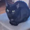Robert ernst - @robert.ernst1 - TikTok