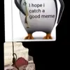 Robert Ernst - @robadobflob690 - TikTok