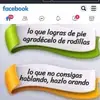Robert Esteves - @robert.esteves48 - TikTok