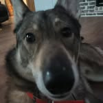 Evan Koons - @evanrobertkoons - Instagram