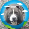robertmevanko - @robert.m.evanko - TikTok