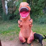 Robert Evans - @robertthebirdman - Instagram