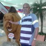 Robert Evertsz - @robertevertsz - Instagram