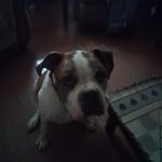 Robert Ewert - @ewertr03 - Instagram